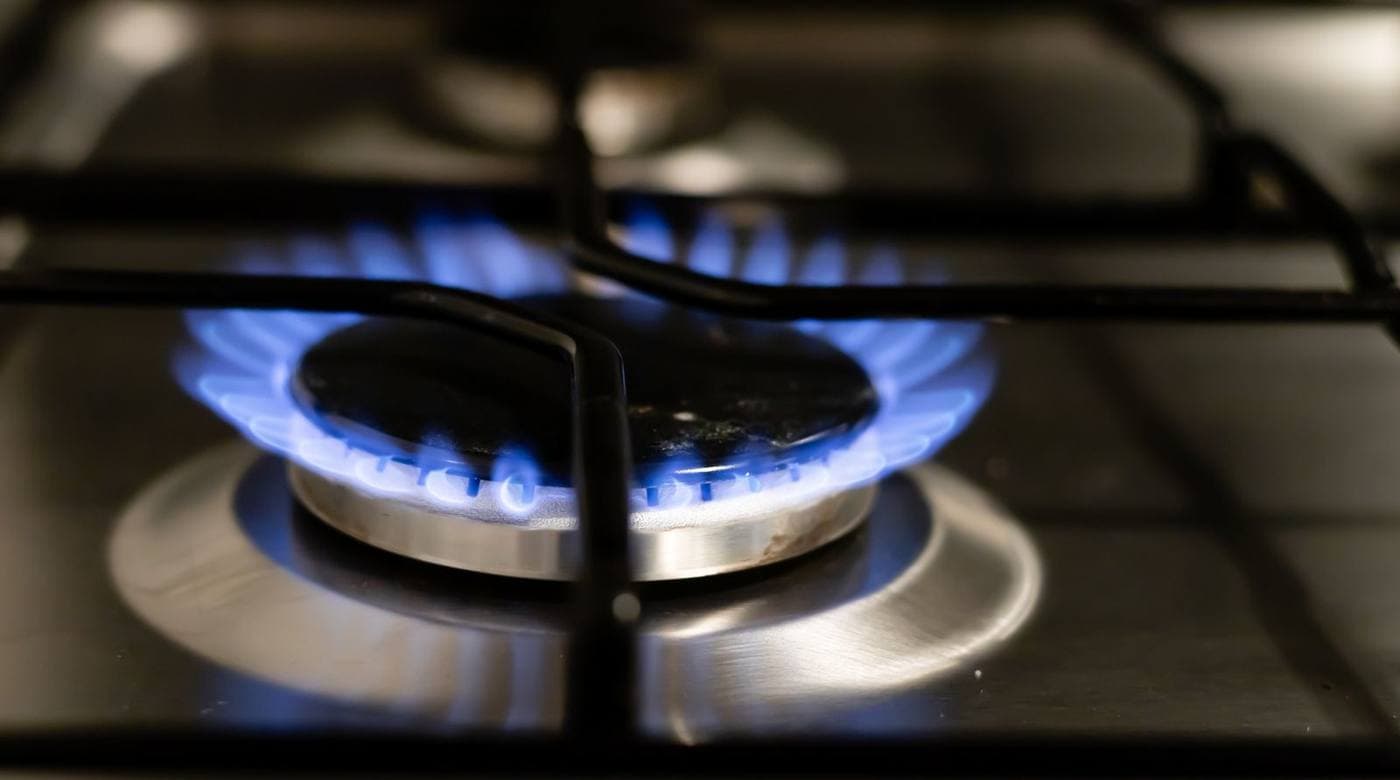 A gas burner alight on a stove